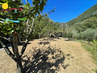 Terreno agricolo in Vendita a Avegno, 29'000€, 1000 m²