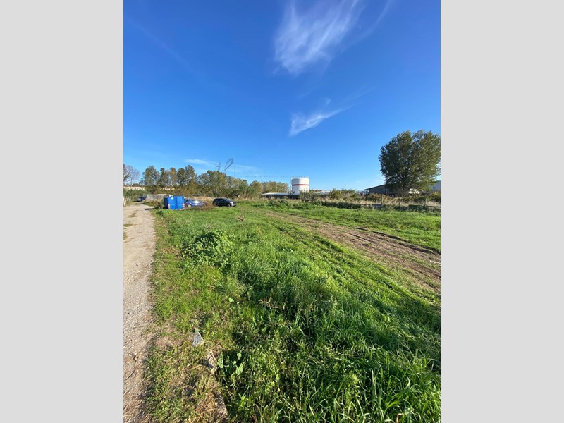 Terreno agricolo in Vendita a Albenga, 30'000€, 1070 m²