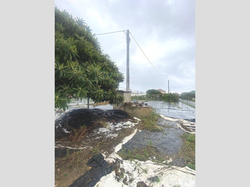 Terreno agricolo in Vendita a Albenga, 150'000€, 3910 m²