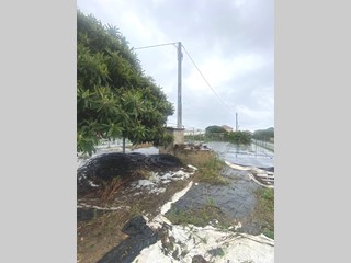 Terreno agricolo in Vendita a Albenga, 150'000€, 3910 m²