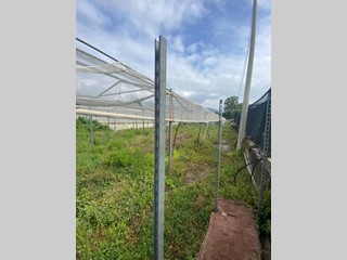 Terreno agricolo in Vendita a Albenga, 80'000€, 1800 m²