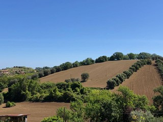 Terreno agricolo in Vendita a Controguerra, 35'000&euro;, 50000 m²