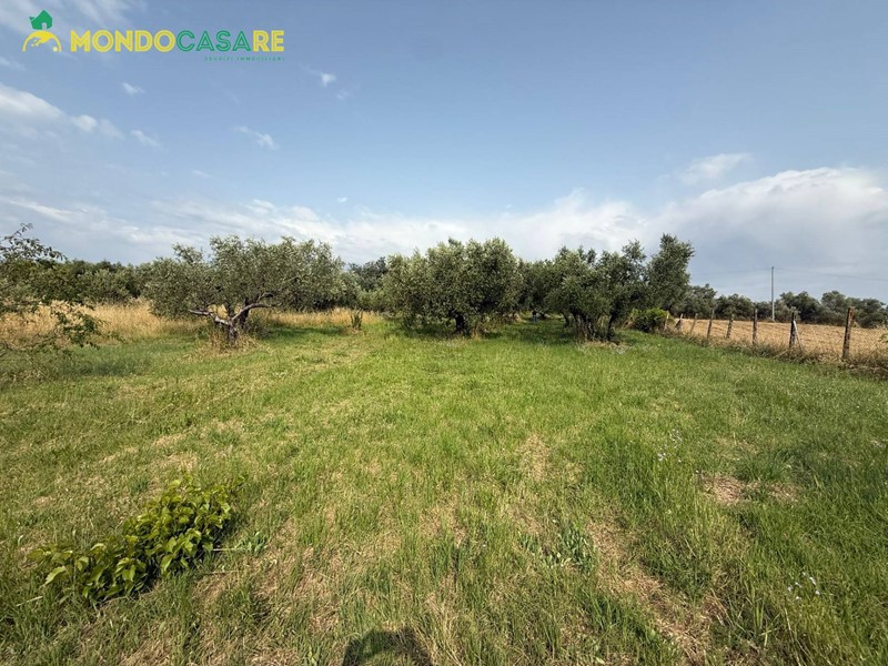 Terreno agricolo in Vendita a Guidonia Montecelio, 24'000€, 4000 m²
