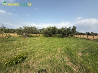 Terreno agricolo in Vendita a Guidonia Montecelio, 24'000€, 4000 m²