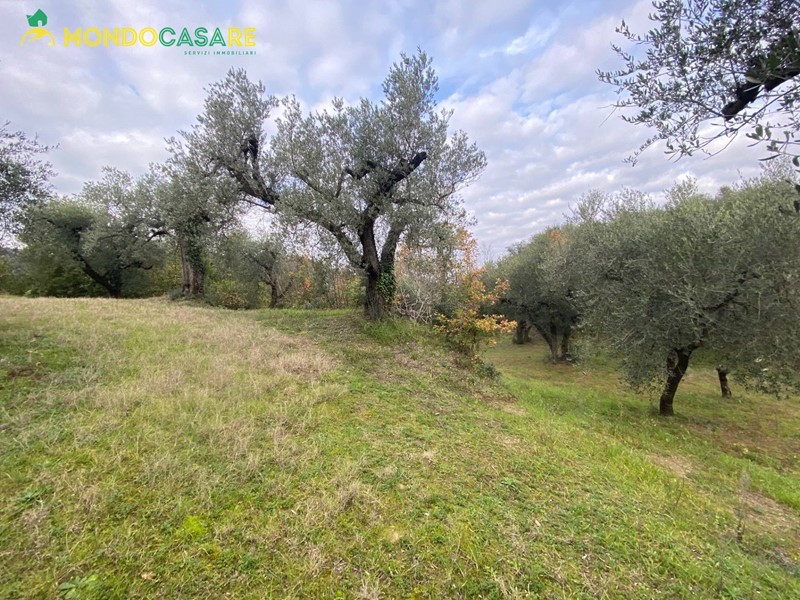 Terreno agricolo in Vendita a Palombara Sabina, 4'000&euro;, 4000 m²