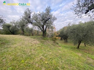 Terreno agricolo in Vendita a Palombara Sabina, 4'000&euro;, 4000 m²