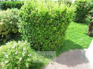 Villa in Vendita a Camaiore, 420'000&euro;, 350 m²