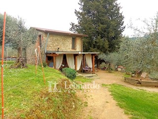 Terreno agricolo in Vendita a Camaiore, 159'000&euro;, 45 m²