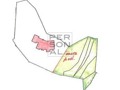 Terreno edificabile in Vendita a Brentonico, 4800 m²