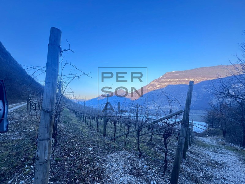 Terreno agricolo in Vendita a Aldeno, 150'000€, 68000 m²