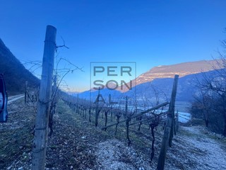 Terreno agricolo in Vendita a Aldeno, 150'000€, 68000 m²