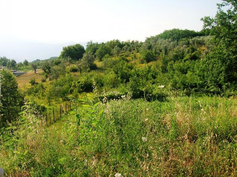 Terreno edificabile in Vendita a Cervaro, 30'000€, 1805 m²