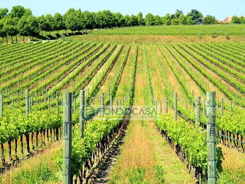 Casa Indipendente in Vendita a Pozzolengo, 475'000€, 147 m²