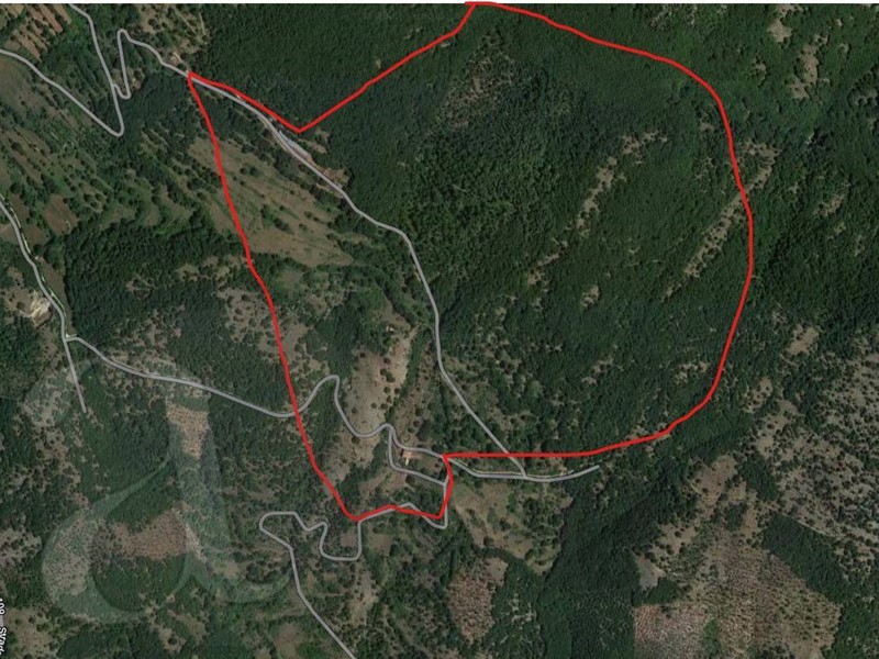 Terreno agricolo in Vendita a Colle San Magno, 745000 m²