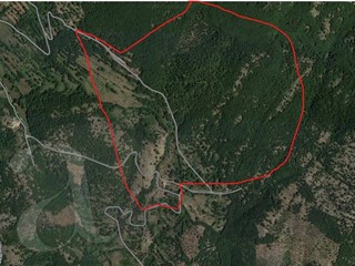 Terreno agricolo in Vendita a Colle San Magno, 745000 m²