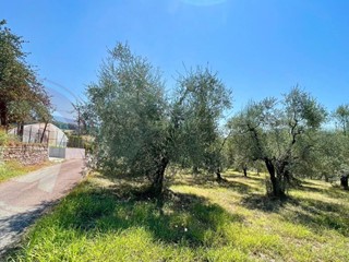 Terreno edificabile in Vendita a Colfelice, 60'000€, 7500 m²