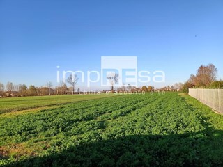 Terreno edificabile in Vendita a Mirano, 123'000€, 7000 m²