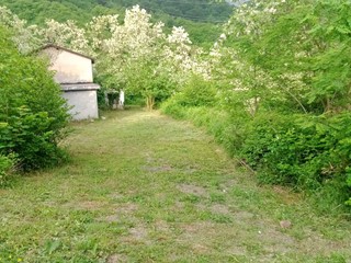 Rustico in Vendita a Pontinvrea, 50'000€, 277 m²