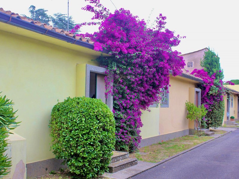 Trilocale in Vendita a Roma, 250'000€, 52 m²