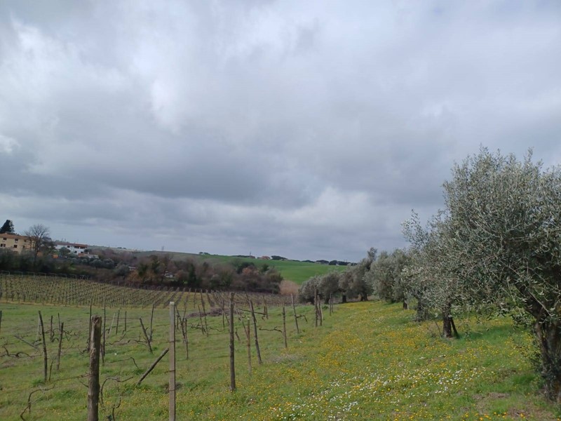 Terreno agricolo in Vendita a Roma, 49'000&euro;, 9000 m²
