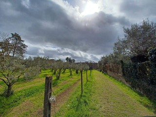 Terreno agricolo in Vendita a Castel Gandolfo, 69'000&euro;, 2500 m²