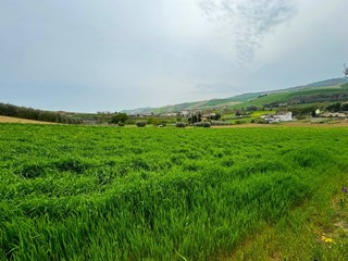 Terreno agricolo in Vendita a Fermo, 45'000€, 20000 m²