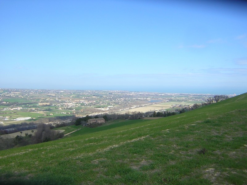 Terreno agricolo in Vendita a Ripatransone, 200000 m²