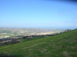 Terreno agricolo in Vendita a Ripatransone, 200000 m²