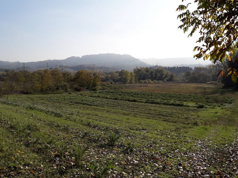 Terreno agricolo in Vendita a Cepagatti, 15'000€, 8600 m²