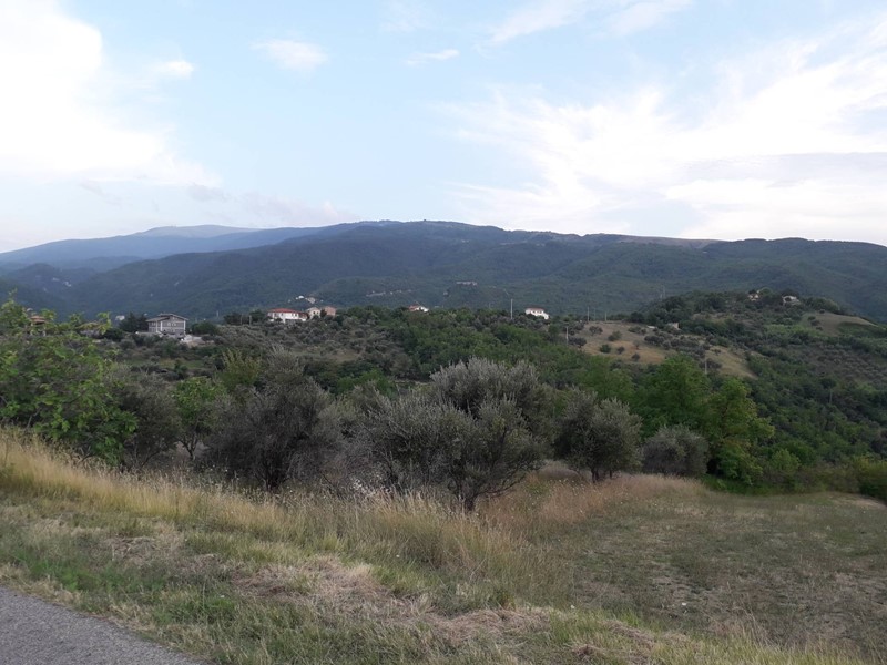 Terreno agricolo in Vendita a Serramonacesca, 28'000€, 22000 m²