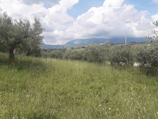 Terreno edificabile in Vendita a Alanno, 35'000€, 1870 m²