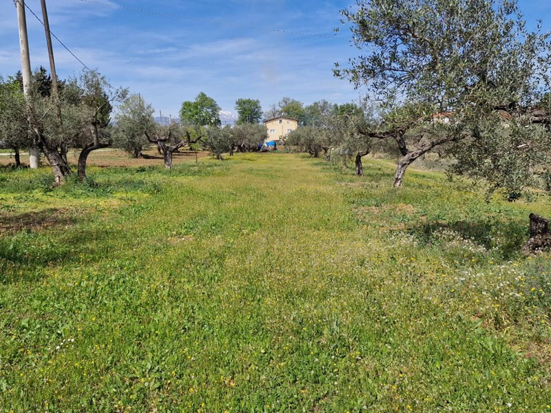 Terreno edificabile in Vendita a Rosciano, 35'000€, 800 m²