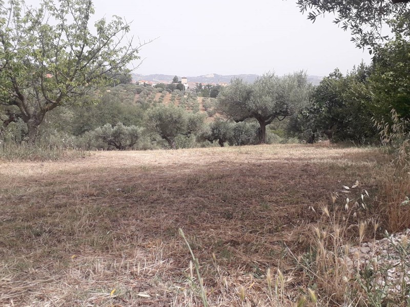 Terreno edificabile in Vendita a Cepagatti, 60'000€, 2095 m²