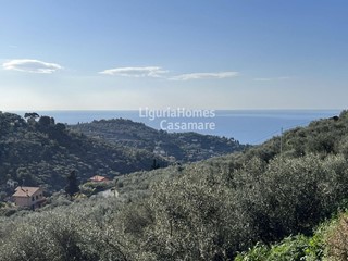 Terreno edificabile in Vendita a Imperia, 120'000€, 2118 m²