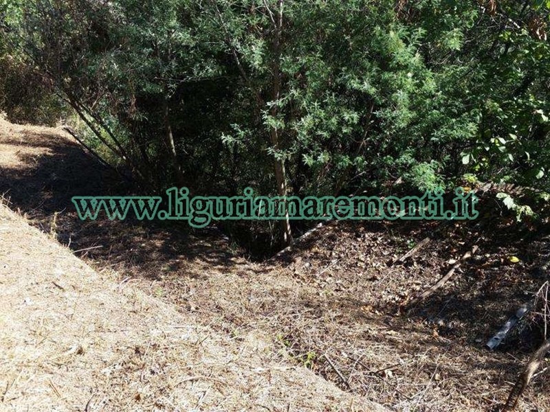 Terreno agricolo in Vendita a Savona, 20'000€, 3000 m²