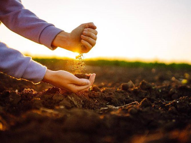 Terreno agricolo in Vendita a Ceneselli, 630'000€, 184957 m²