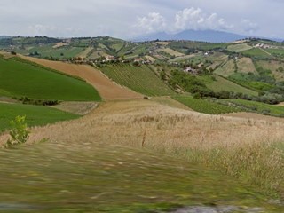 Terreno agricolo in Vendita a Acquaviva Picena, 50'000€, 20000 m²