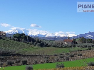 Terreno agricolo in Vendita a Offida, 15'000€, 5000 m²