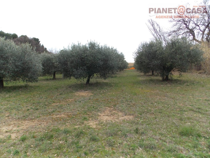 Terreno agricolo in Vendita a San Benedetto del Tronto, 150'000€, 8600 m²