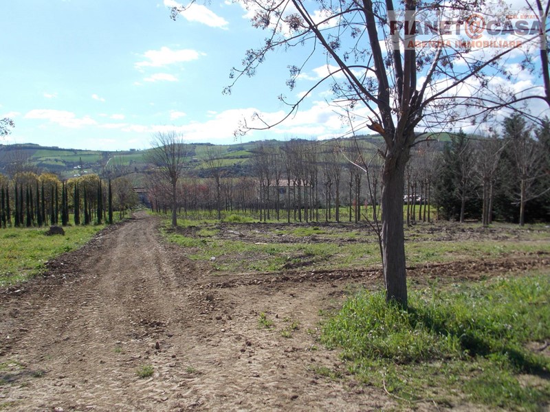 Terreno agricolo in Vendita a Colli del Tronto, 169'000€, 17000 m²