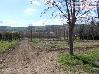 Terreno agricolo in Vendita a Colli del Tronto, 169'000€, 17000 m²