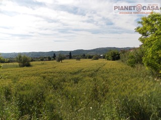 Terreno agricolo in Vendita a Monsampolo del Tronto, 25'000€, 5200 m²
