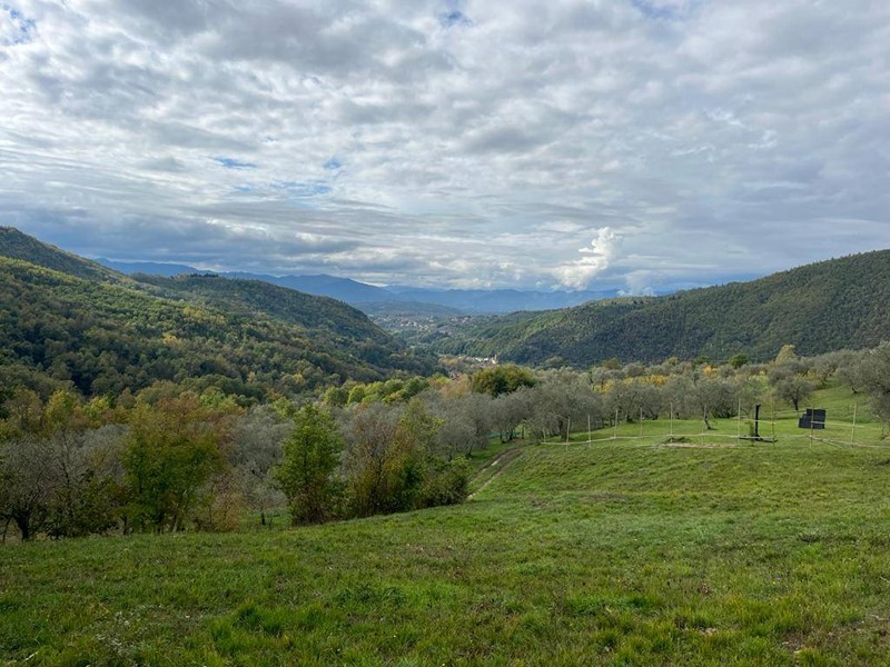 Terreno edificabile in Vendita a Fivizzano, 65'000€, 2000 m²