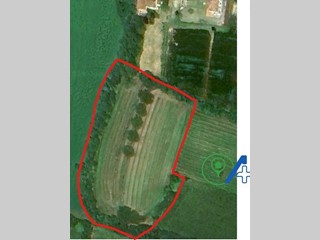 Terreno agricolo in Vendita a Cavriana, 58'000&euro;, 6124 m²