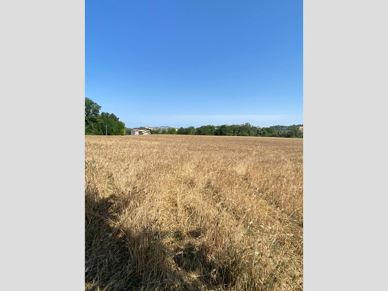 Terreno edificabile in Vendita a Magliano di Tenna, 215'000€, 9960 m²