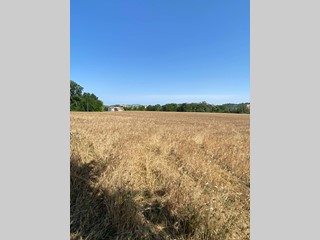 Terreno edificabile in Vendita a Magliano di Tenna, 215'000€, 9960 m²