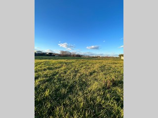 Terreno edificabile in Vendita a Civitanova Marche, 14000 m²