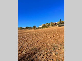 Terreno agricolo in Vendita a Monte Urano, 47'000€, 32000 m²