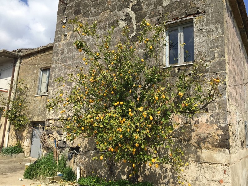 Rustico in Vendita a Telese Terme, 50'000€, 250 m²