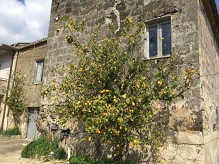 Rustico in Vendita a Telese Terme, 50'000€, 250 m²